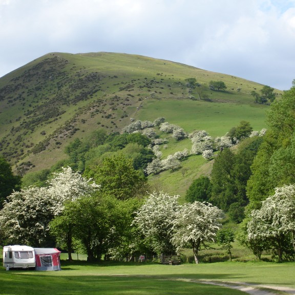 WILLIAMS BIRTHDAY 2006 002 1 v2