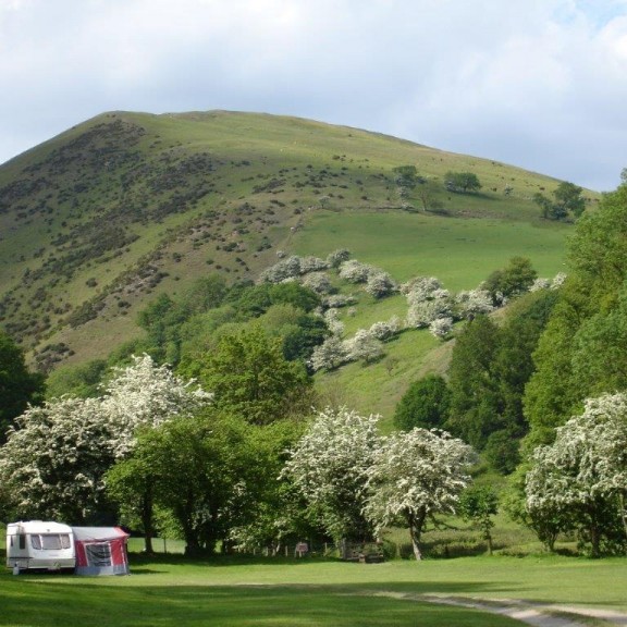 WILLIAMS BIRTHDAY 2006 002 1